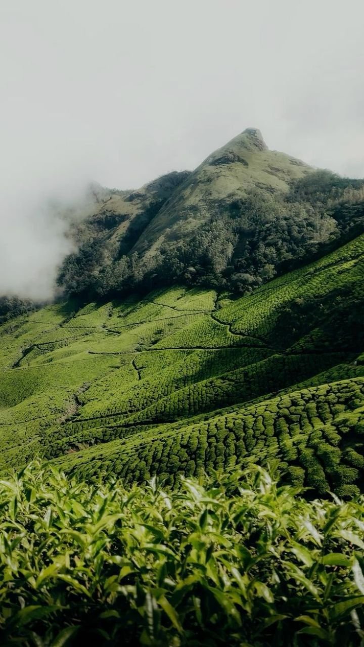 Theni